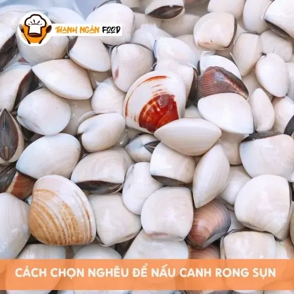 Cách chọn nghêu nấu canh rong sụn