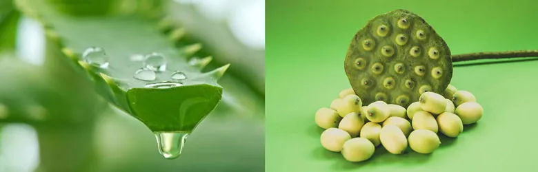 Chuẩn bị nguyên liệu làm chè hạt sen nha đam