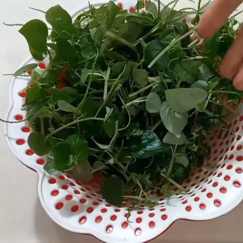 Nguyên liệu sâm bổ lượng