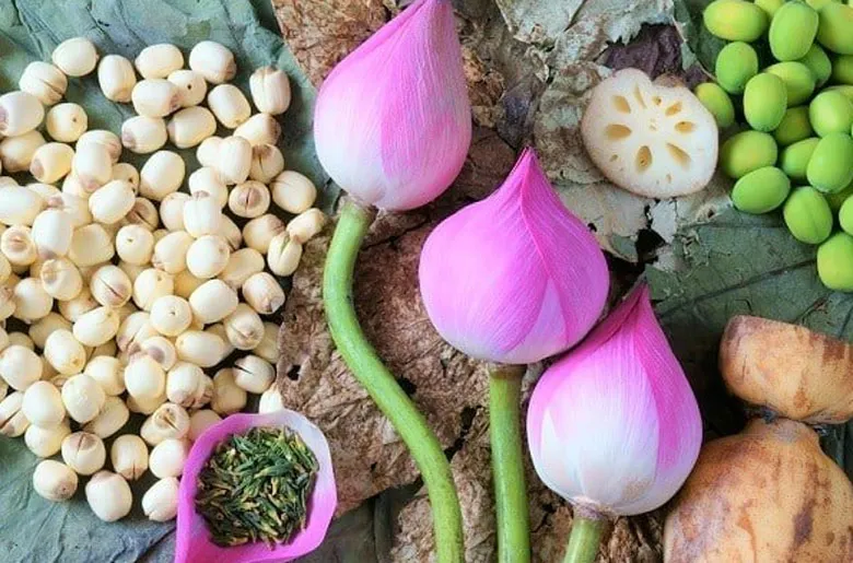 Các lợi ích sức khỏe tuyệt vời nhận được từ cách nấu chè đỗ xanh hạt sen