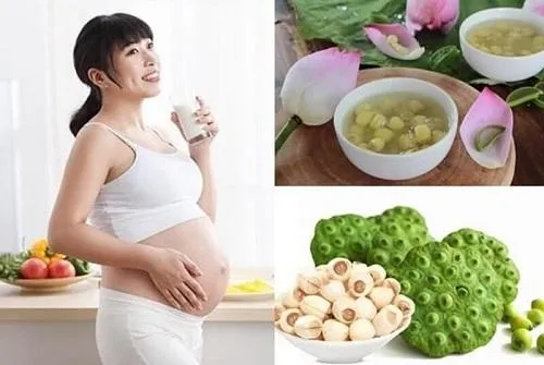 Những lợi ích sức khỏe tuyệt vời từ nước hạt sen khô