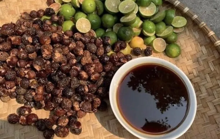 Nước rửa chén từ bồ hòn có màu vàng nhạt, tạo bọt tự nhiên