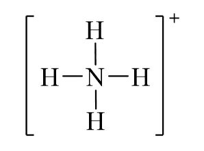 Công thức Lewis của NH4Cl