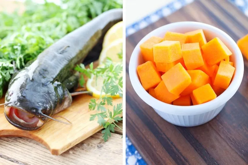 Cháo cá trê kết hợp bí đỏ, tạo màu sắc hấp dẫn và bổ sung vitamin A