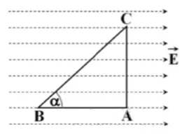 Hình vẽ tam giác vuông mô phỏng vị trí các điểm trong điện trường