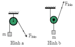 Ròng rọc cố định và động