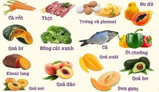 Các nhóm thực phẩm thiết yếu cho bé bước vào giai đoạn ăn dặm