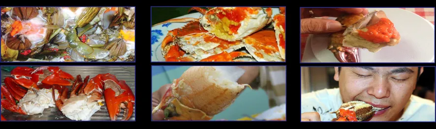 Quy trình kiểm tra chất lượng cua tươi sống tại Cua Không Dây