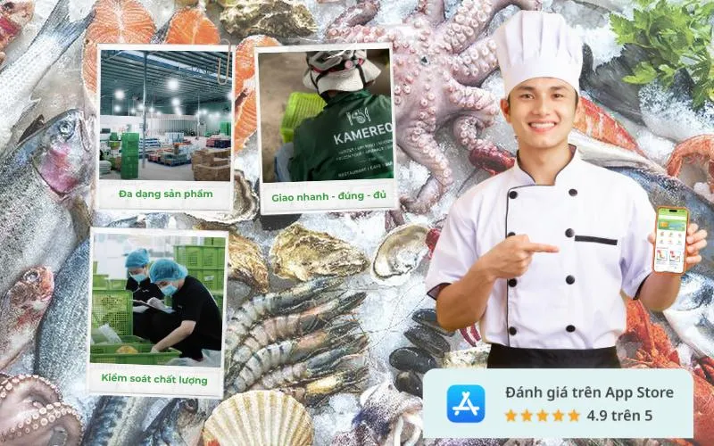 Kamereo là nhà cung cấp hải sản đông lạnh TPHCM uy tín