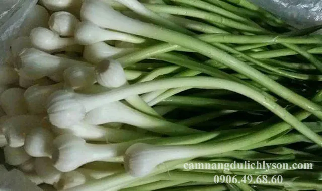 Đặc sản tỏi non Lý Sơn tươi ngon dùng để xào thịt bò