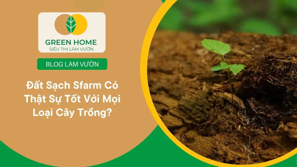 Quy trình sản xuất đất sạch hữu cơ Sfarm giúp bảo vệ sức khỏe người làm vườn