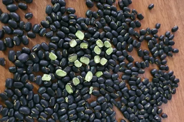 chọn đậu đen tươi ngon