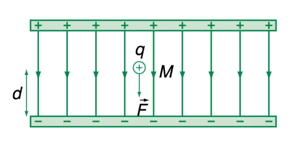 Lực điện tác dụng lên một điện tích trong điện trường đều
