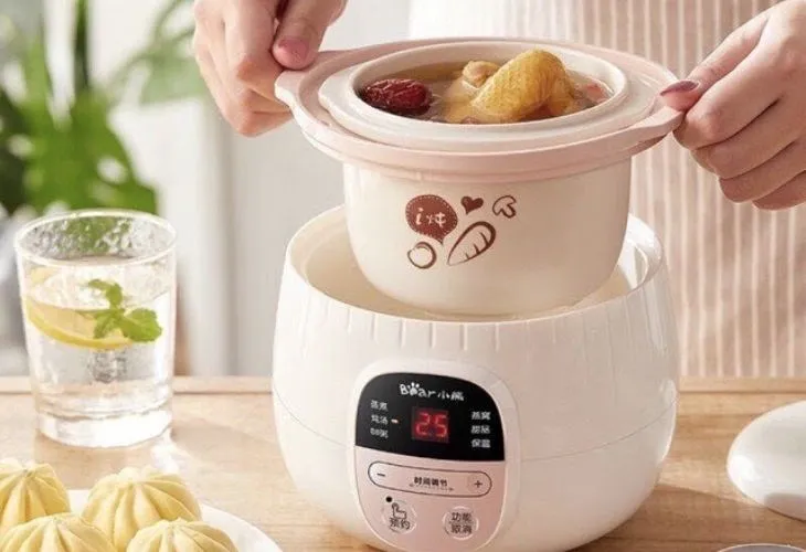 Đặt nguyên liệu vào nồi, đậy nắp và cắm điện