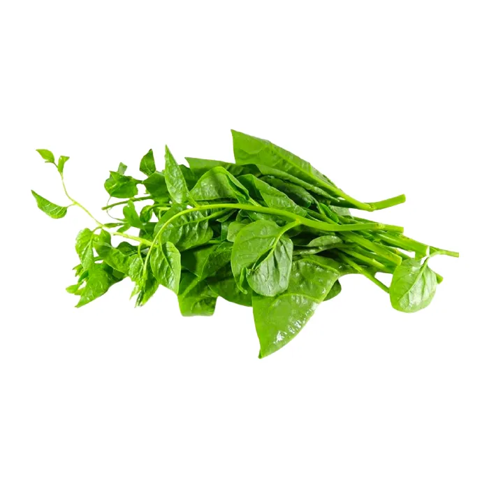 Mồng Tơi Miền Tây