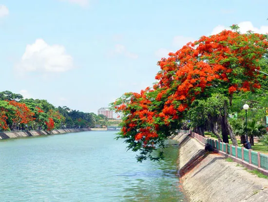 Bánh đa cua Hải Phòng món ăn mang hồn cốt đất Cảng