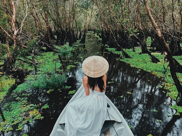 Khung cảnh thiên nhiên kỳ ảo khi khám phá Rừng Tràm Trà Sư