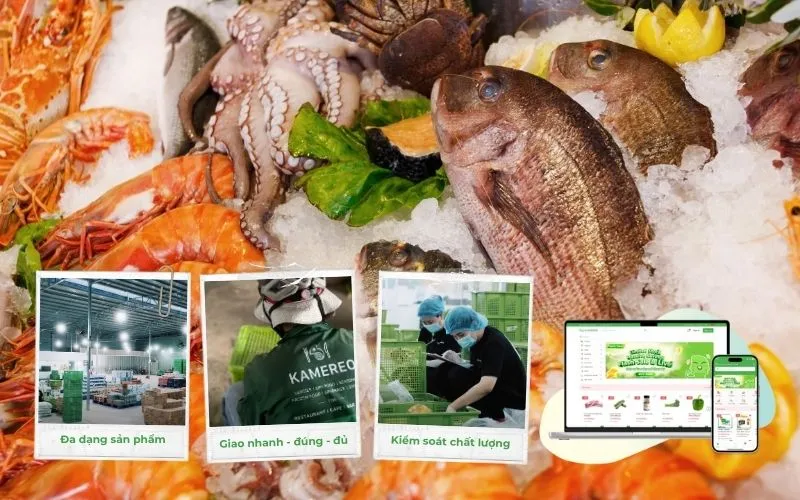 Kamereo cung cấp hải sản tươi sống chất lượng cho doanh nghiệp F&B