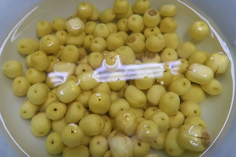 Ngâm hạt sen tươi vào trong nước ấm