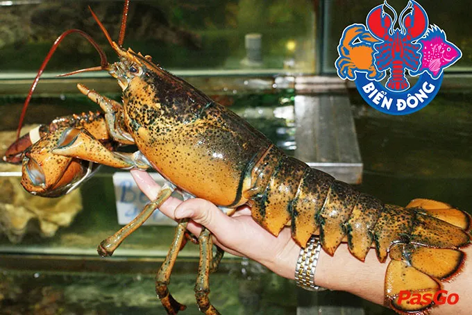 Nhà hàng Hải Sản Biển Đông luôn tự hào mang đến nguồn hải sản tươi sống cho thực khách