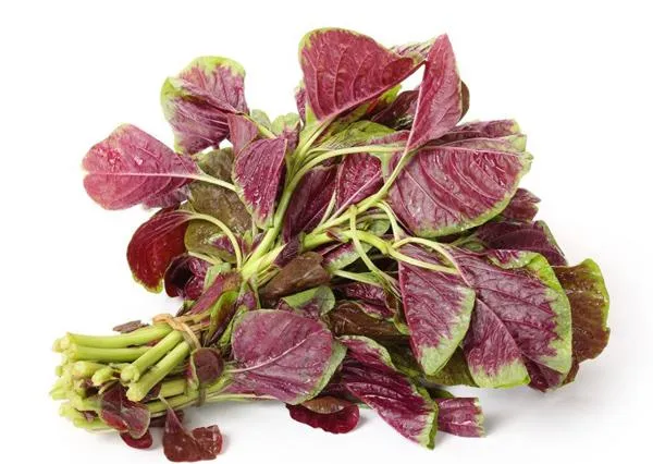 Hàm lượng chất xơ cao trong rau dền giúp ngăn ngừa táo bón thai kỳ