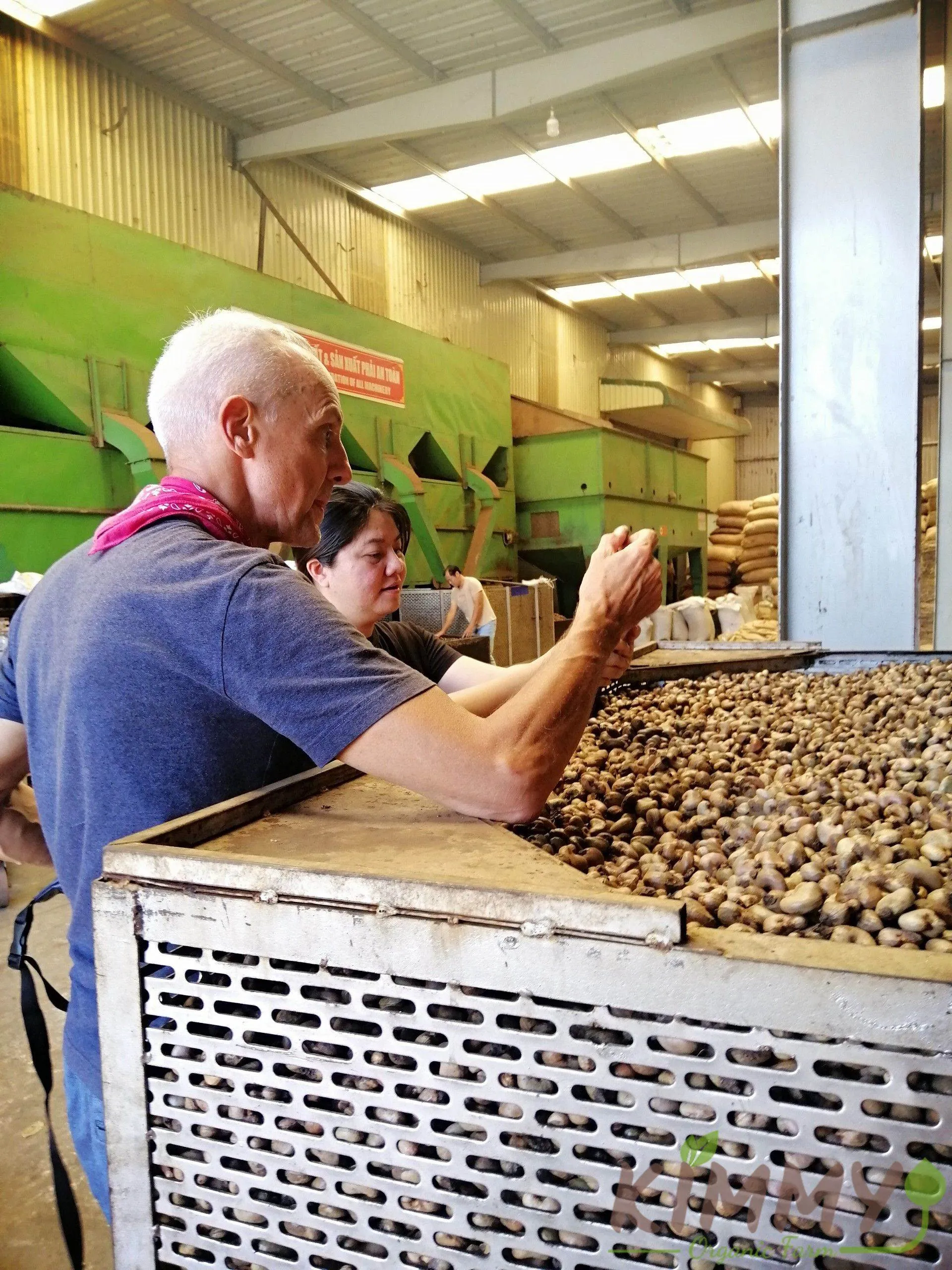 Chuyên gia hướng dẫn khách hàng cách kiểm tra chất lượng nhân hạt điều sau khi bóc tách