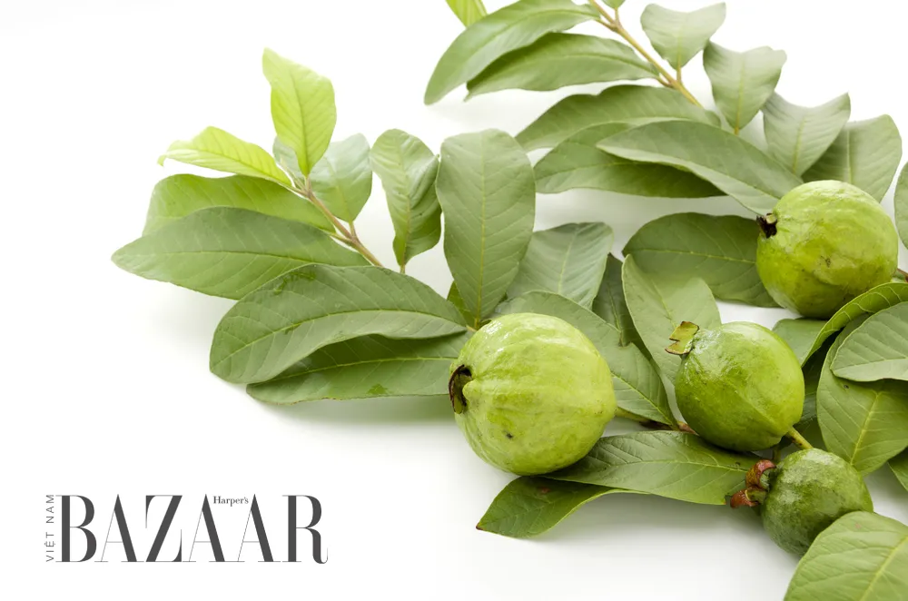 Trái cây chát như ổi, sung