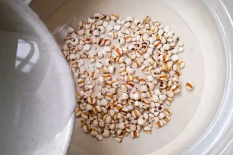 Hạt bo bo đang được ngâm nở trong bát nước sạch