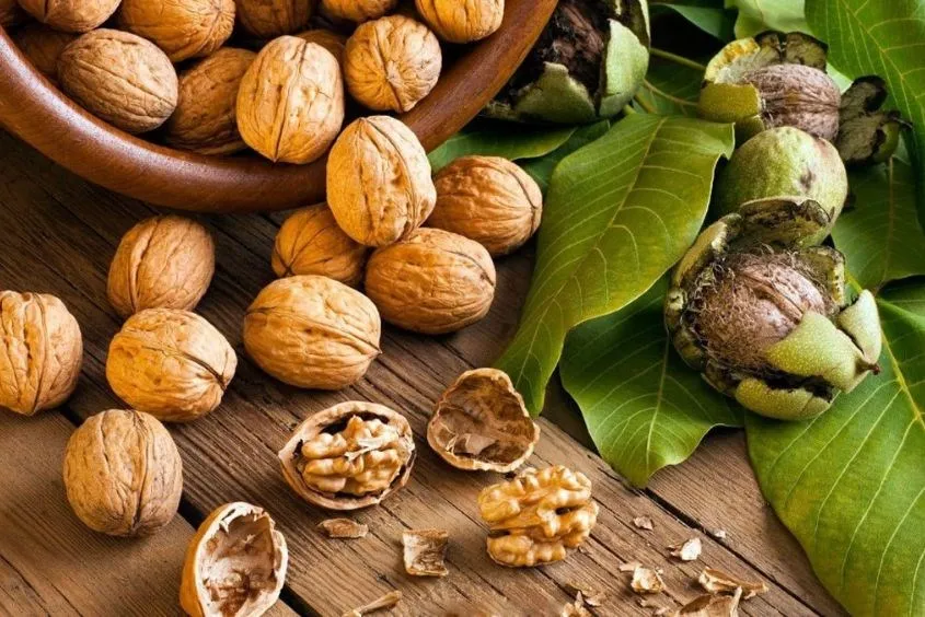 Óc chó xay nhuyễn bổ sung vào cháo cho bé