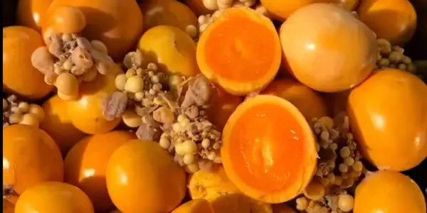 Đĩa ốc tươi sống được chế biến với sốt cay ngọt, kèm rau sống và bánh tráng nướng