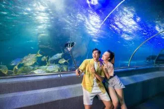 Du khách thích thú khám phá hệ sinh thái biển tại VinWonders Nha Trang