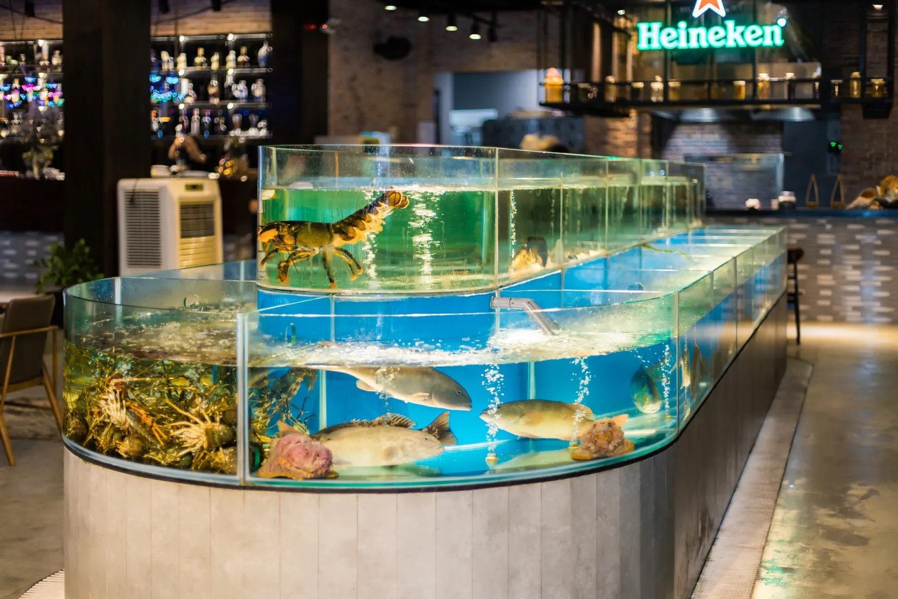 Bể hải sản tươi sống tại Sông – Seafood & Grill, nơi thực khách tự chọn nguyên liệu cho món ăn