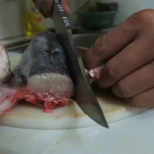 Cá lăng tươi với da sáng bóng, sẵn sàng chế biến