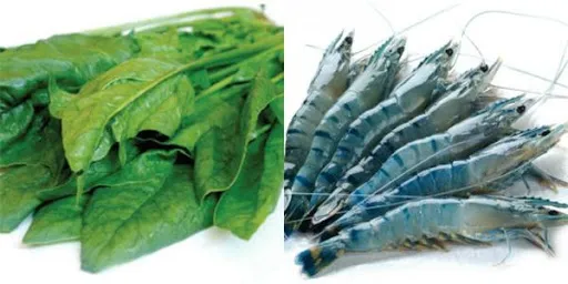 Rau cải bó xôi có chứa axit phytic gây cản trở hấp thụ canxi khi nấu cùng tôm