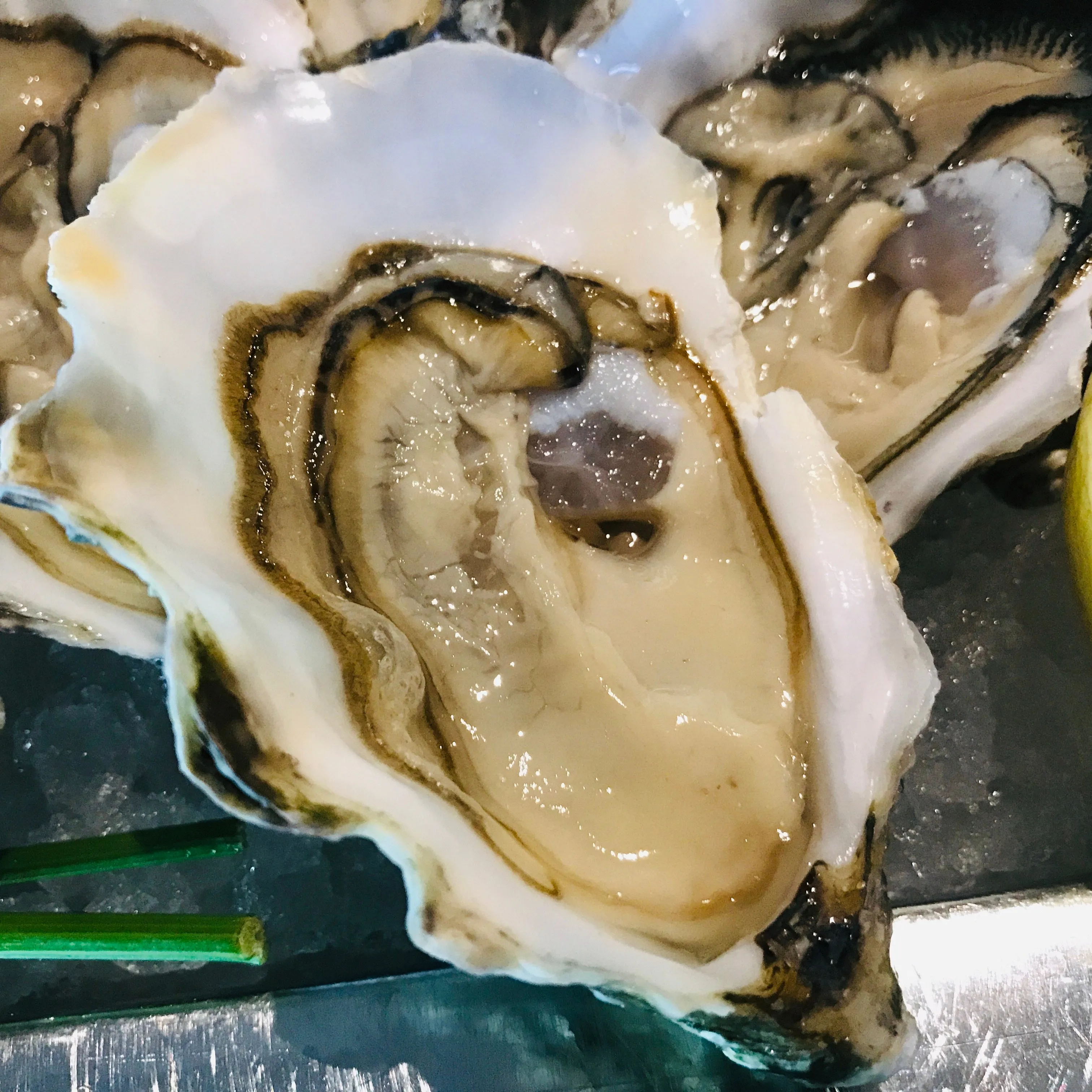 Hau_dai_duong_hoang_gia