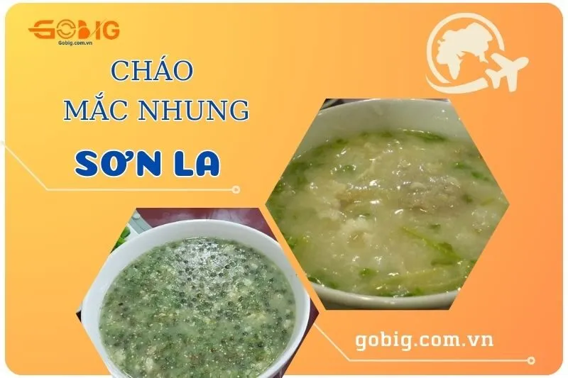 Khám Phá Cách Nấu Cháo Thịt Bò Cho Bé Thơm Ngon, Bổ Dưỡng Chuẩn Vị