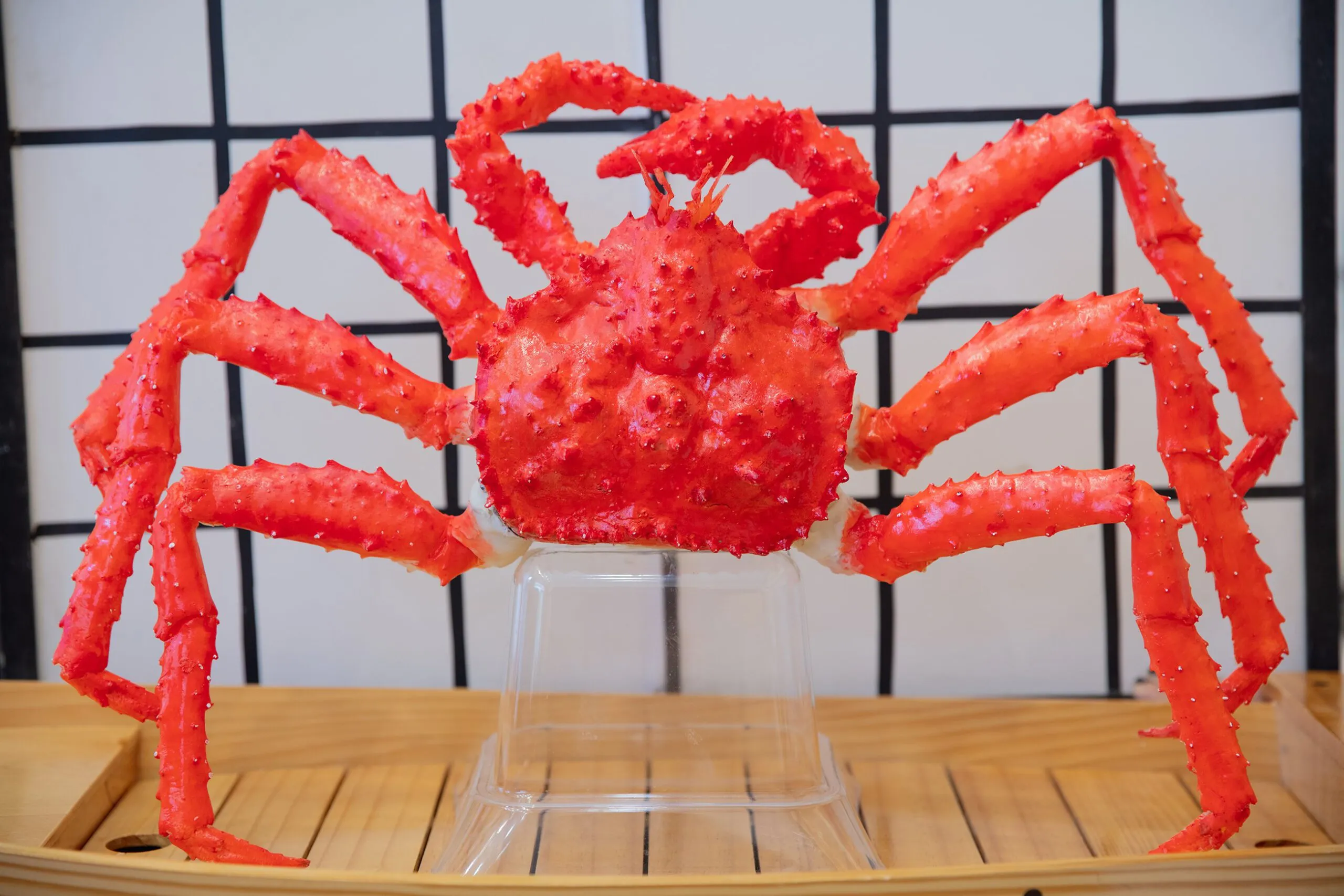 Mô hình Cua Hoàng Đế tinh xảo tỷ lệ 1:1