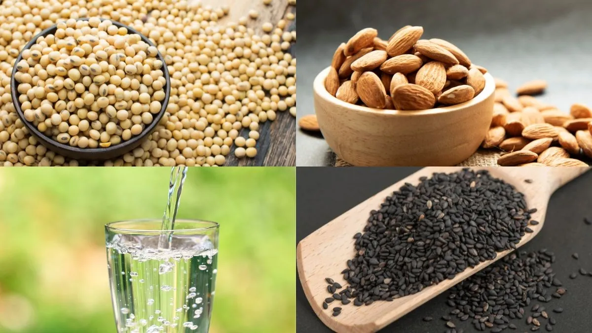 Nguyên liệu món ăn làm sữa đậu nành bằng máy làm sữa hạt