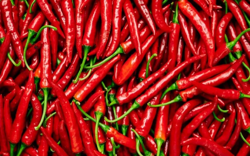 Ớt tạo độ cay đặc trưng cho lẩu Thái