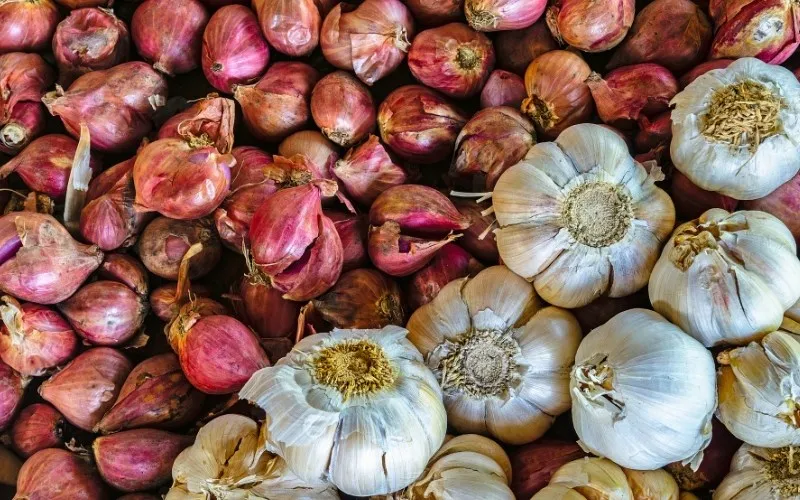 Hành tỏi phi thơm tạo nền hương