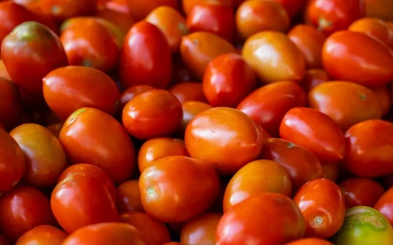 Cà chua tạo màu đỏ tự nhiên