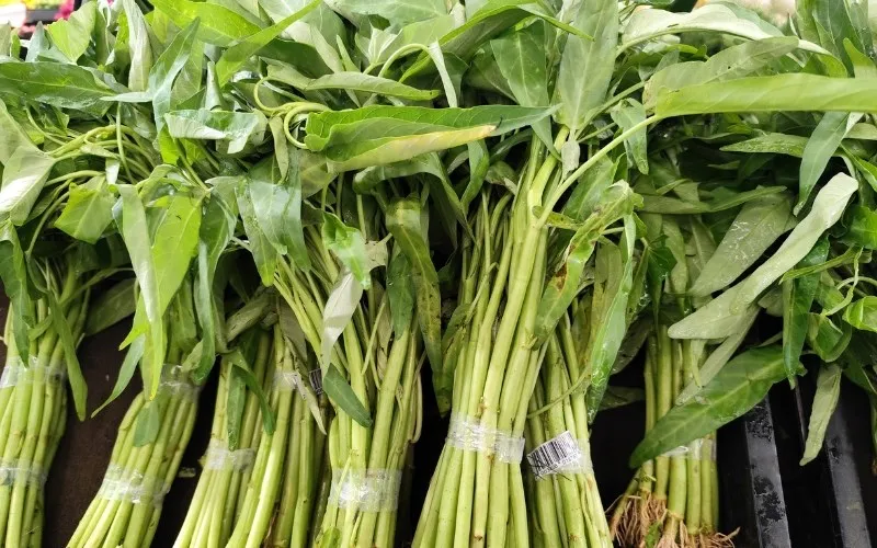 Rau muống giòn ngon