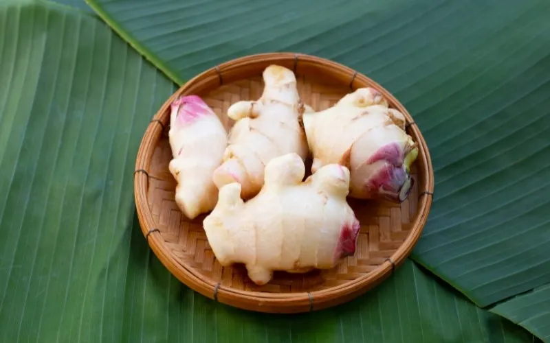 Riềng già là gia vị không thể thiếu trong lẩu Thái