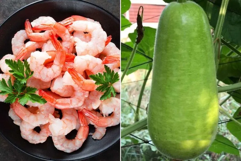 Lợi ích sức khỏe khi nấu cháo tôm với bầu cho bé ăn dặm