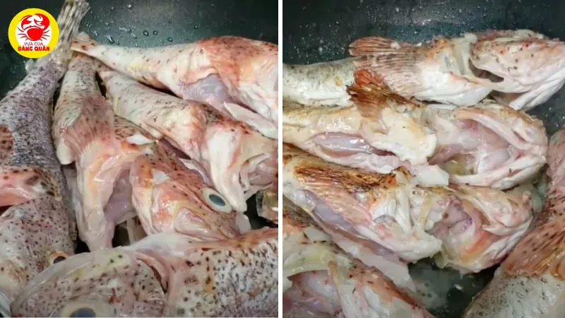 Luộc cá mú và chuẩn bị nước dùng