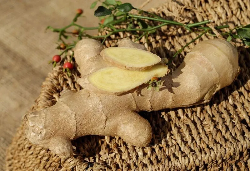 Gừng tươi giúp khử mùi thịt bò hiệu quả