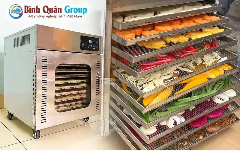 Máy sấy thịt bò khô mini cho gia đình