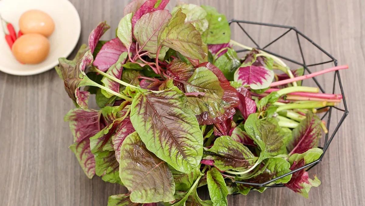 Bà bầu 3 tháng đầu ăn canh rau dền được không là thắc mắc của nhiều sản phụ