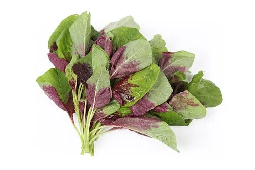 Mẹ bầu bổ sung canxi từ rau dền giúp bé phát triển khung xương tốt