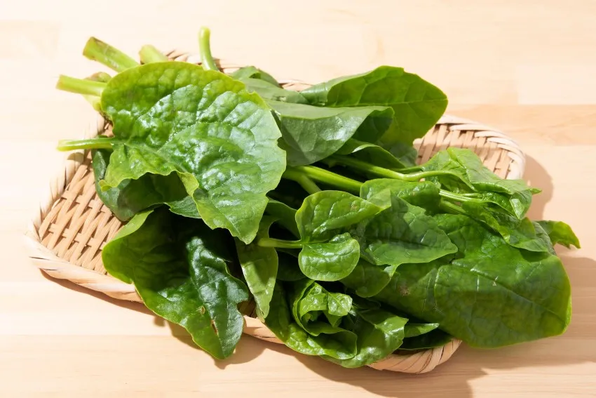 Bàn tay mẹ đang chăm sóc và massage bụng cho trẻ sơ sinh bị táo bón